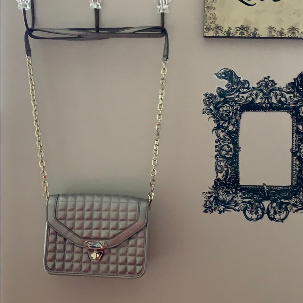 Muted gold and silver bag